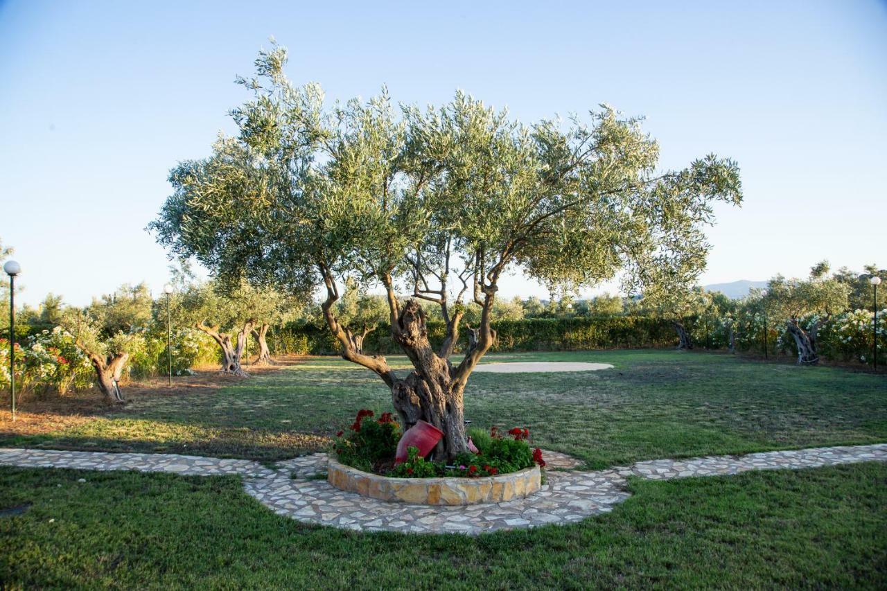 Agroktima Elia Lägenhet Nafplion Exteriör bild